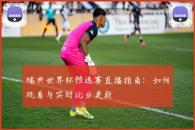 瑞典世界杯预选赛直播指南：如何观看与实时比分更新