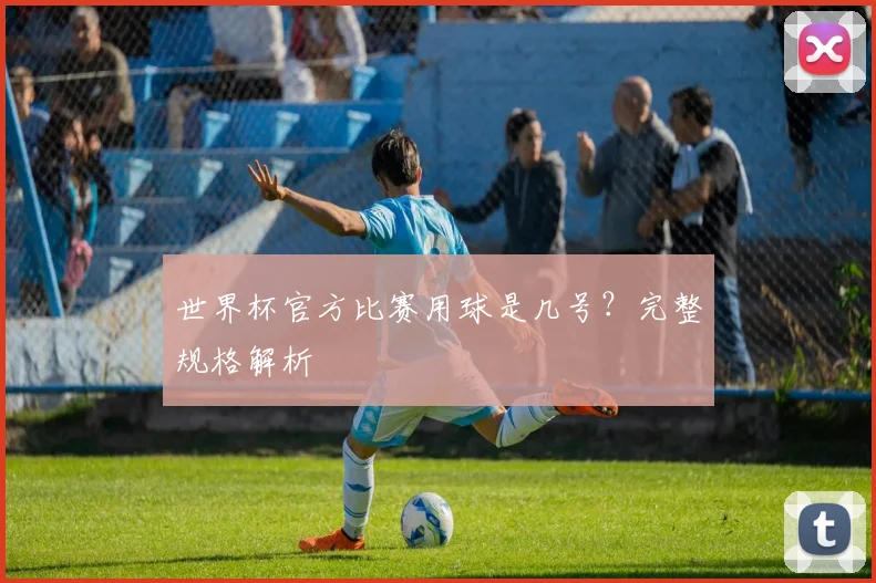 世界杯官方比赛用球是几号？完整规格解析