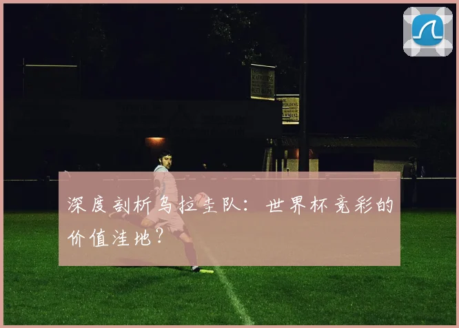 深度剖析乌拉圭队：世界杯竞彩的价值洼地？