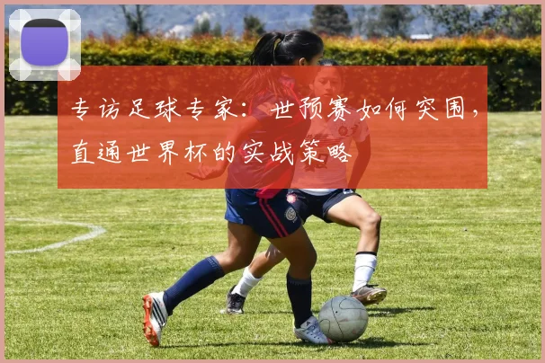 专访足球专家:世预赛如何突围,直通世界杯的实战策略