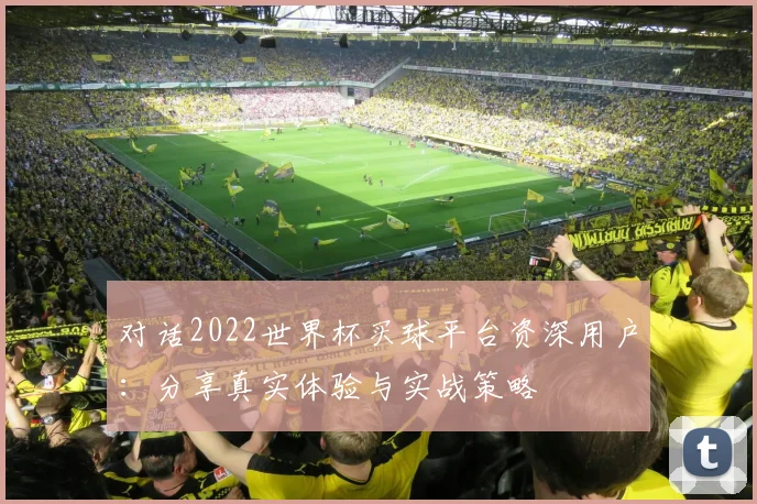 对话2022世界杯买球平台资深用户：分享真实体验与实战策略