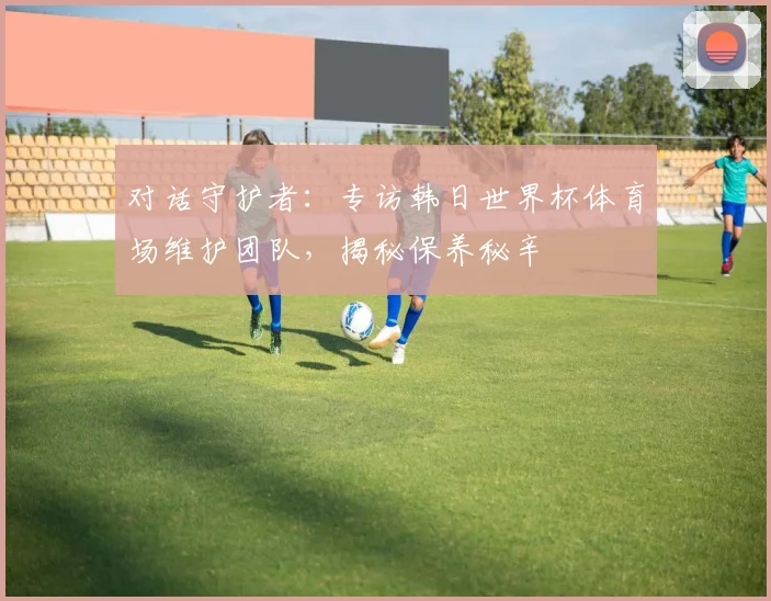 对话守护者：专访韩日世界杯体育场维护团队，揭秘保养秘辛