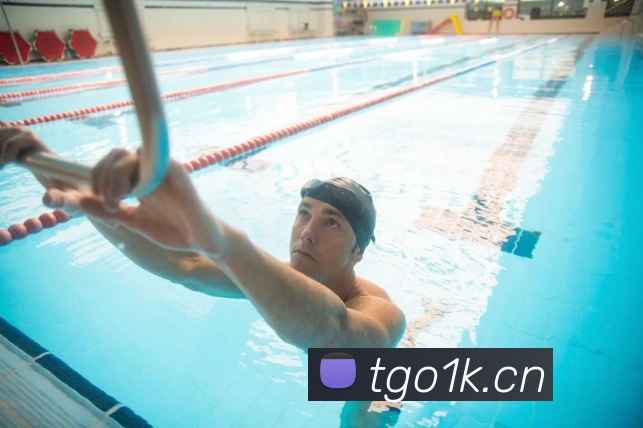 九游9官网平台生态图